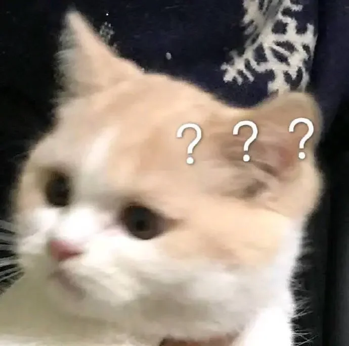 注意事项